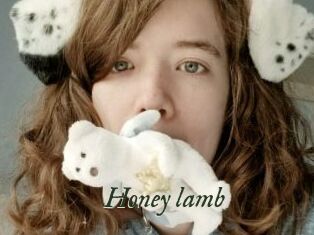 Honey_lamb