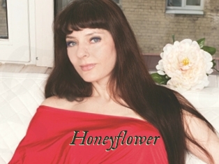 Honeyflower