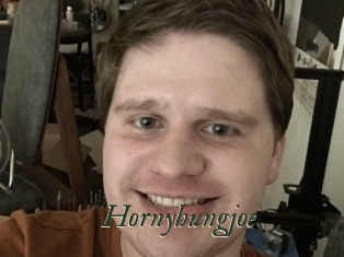 Hornyhungjoe