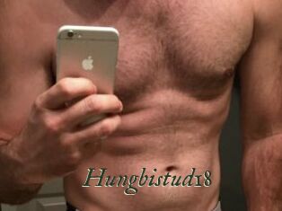 Hungbistud18