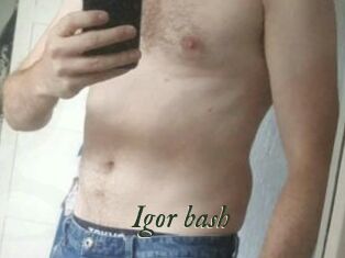 Igor_bash