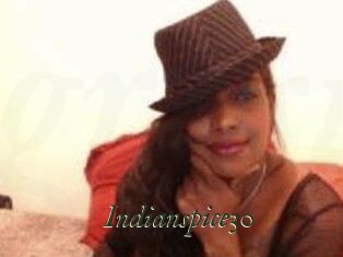 Indianspice30