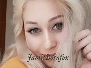 JamieBornfox