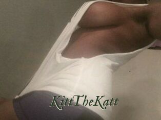 Kitt_The_Katt