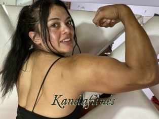 Kanelafilnes