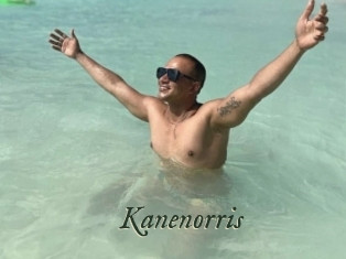 kanenorris Gratis Strip