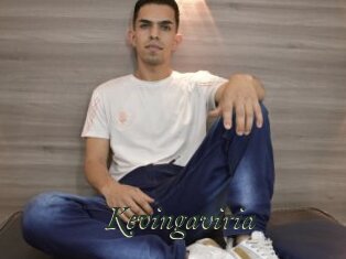 Kevingaviria