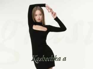 Koshechka_a