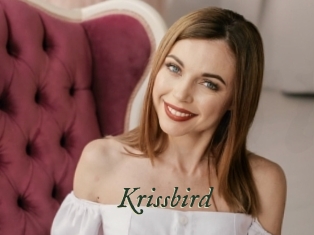 Krissbird