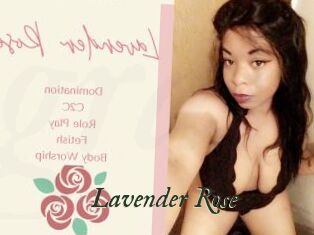 Lavender_Rose