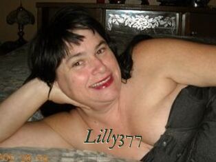 Lilly377