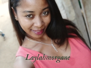 Laylahmorgane