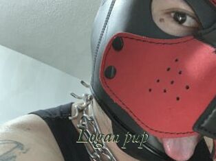 Logan_pup