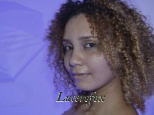 Lucerofox