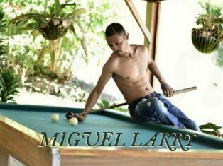 MIGUEL_LARRY