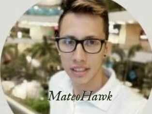 MateoHawk