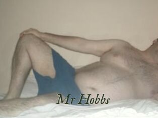 Mr_Hobbs