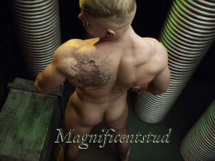 Magnificentstud