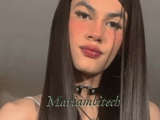 Mariambitech