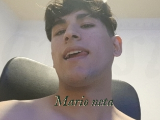 Mario_neta