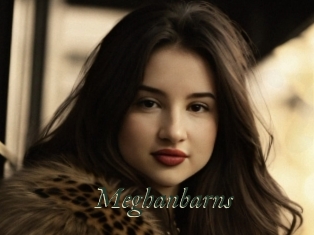 Meghanbarns