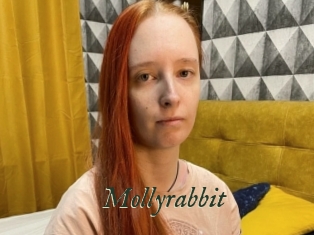 Mollyrabbit