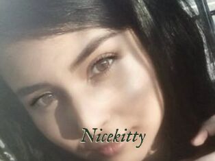 Nicekitty