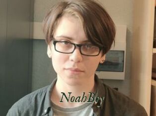 NoahBoy