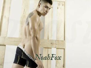 NoahFox