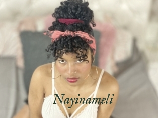 Nayinameli