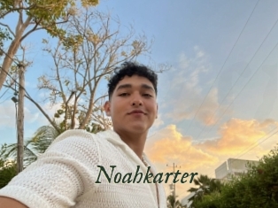 Noahkarter