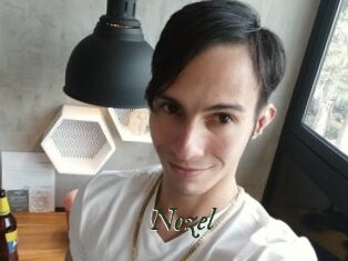 Nozel