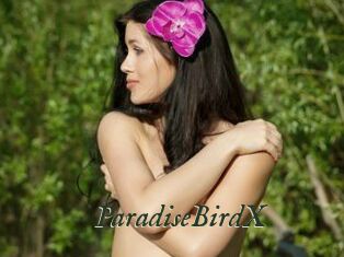 ParadiseBirdX