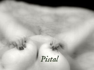 Pistal