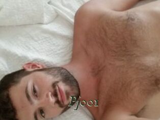 Pj001