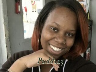 Pudd123
