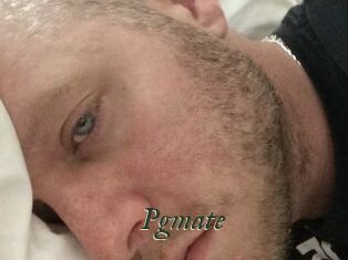 Pgmate