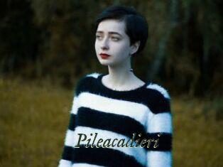 Pileacadieri