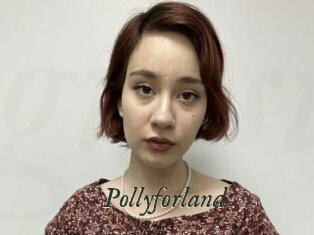 Pollyforland