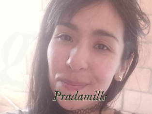 Pradamills