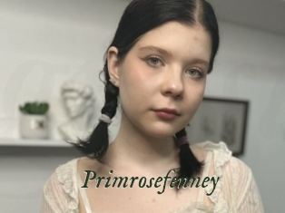 Primrosefenney