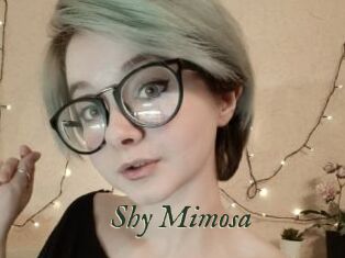 Shy_Mimosa