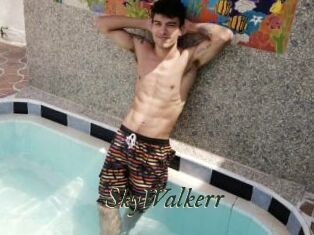 SkyWalkerr