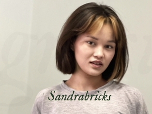 Sandrabricks