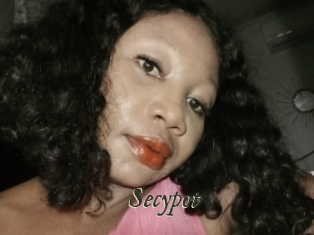 Secypot