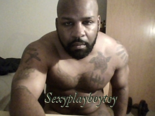 Sexyplayboytoy