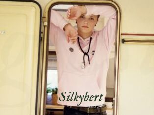 Silkybert