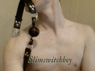 Slimswitchboy
