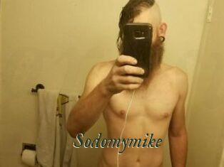 Sodomymike