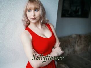 Sollyflower